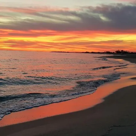 公寓 Casa Bora 普雷西切